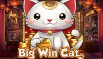 Big Win Cat (Кошечка на удачу)