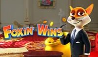 Foxin Wins (Foxin выигрывает)