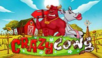 Crazy Cows (Сумасшедшие коровы)