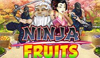 Ninja Fruits (Ниндзя Фрукты)